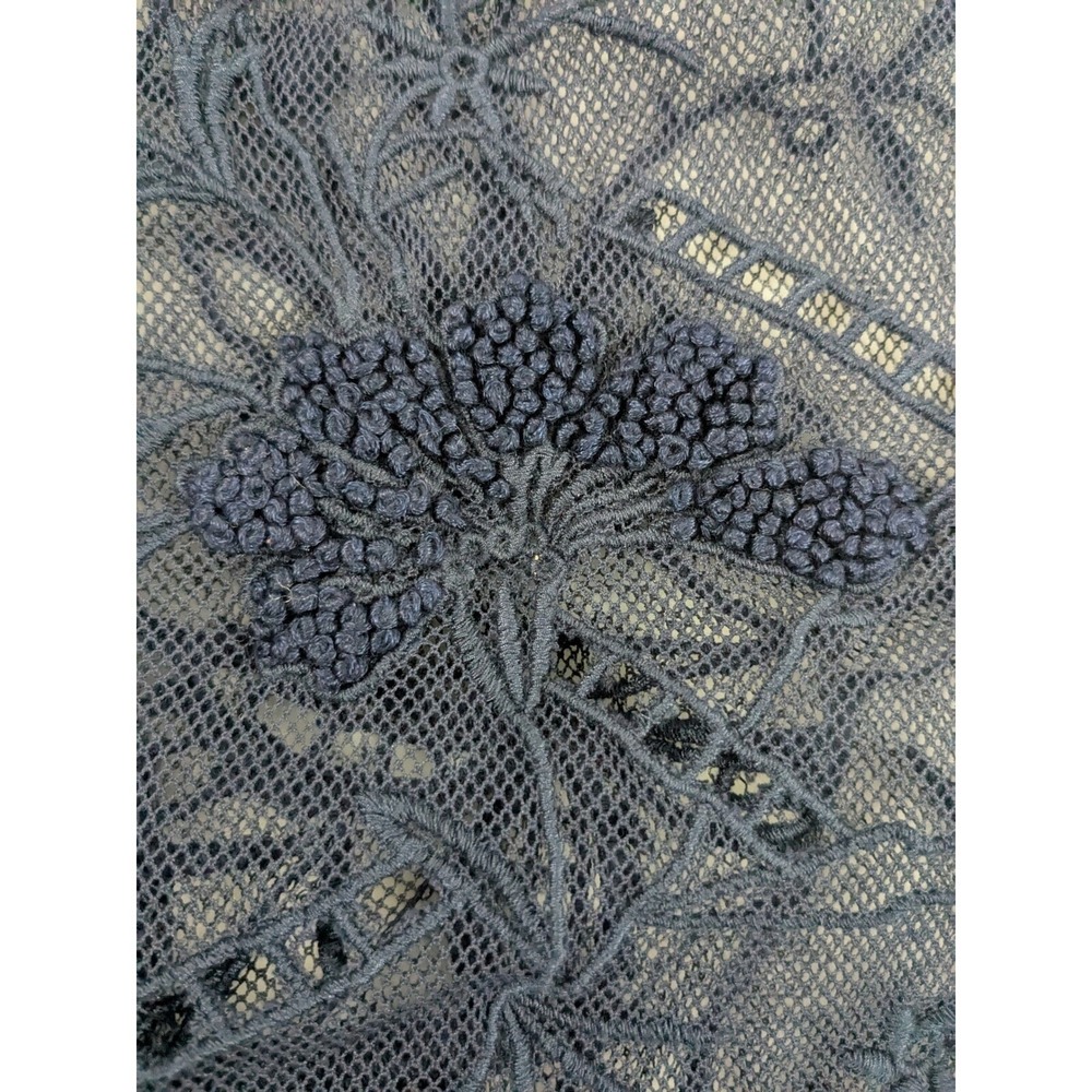 Vanessa Virginia Anthropologie Womens Floral Sheer Lace Crop Top S Blue Romantic - Picture 7 of 11